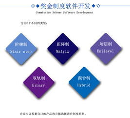 直銷軟件開發 打造高效便捷的營銷體系